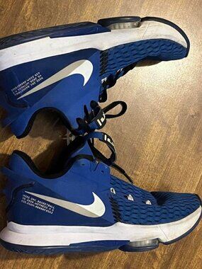 Nike LeBron 15 Low Blue Basketball Sneakers